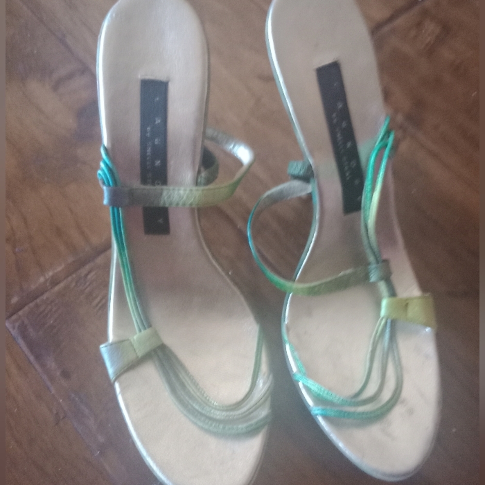 Laundry by Shelli Segal heels